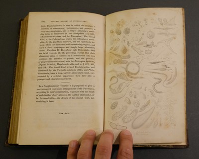 Lot 84 - Pritchard (Andrew). The Microscopic Cabinet of Selected Animated Objects... , 1st edition, 1832