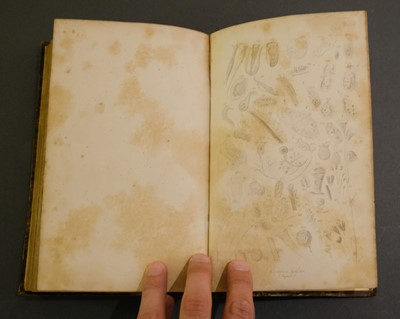Lot 84 - Pritchard (Andrew). The Microscopic Cabinet of Selected Animated Objects... , 1st edition, 1832