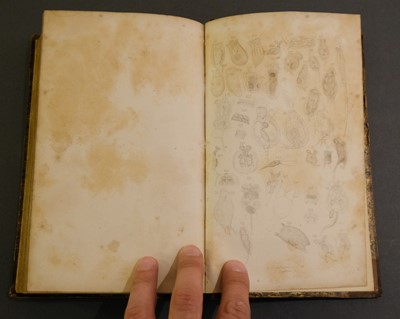 Lot 84 - Pritchard (Andrew). The Microscopic Cabinet of Selected Animated Objects... , 1st edition, 1832