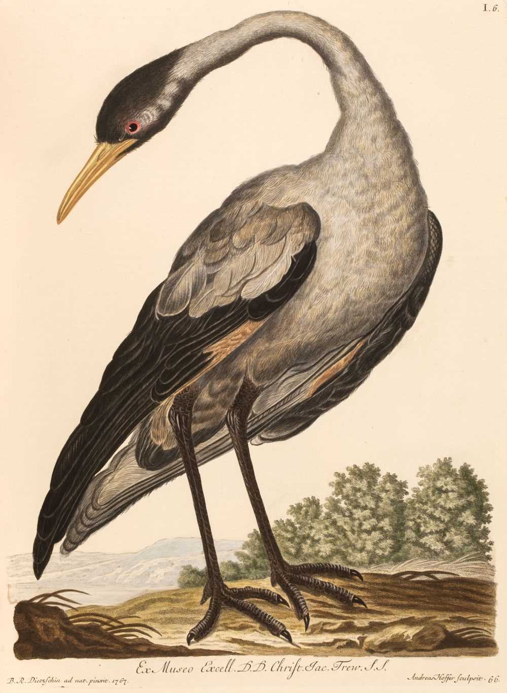 Lot 66 - Knorr (Georg Wolffgang). Deliciae naturae selectae, oder auserlesenes ..., 1766-1777