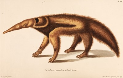 Lot 66 - Knorr (Georg Wolffgang). Deliciae naturae selectae, oder auserlesenes ..., 1766-1777