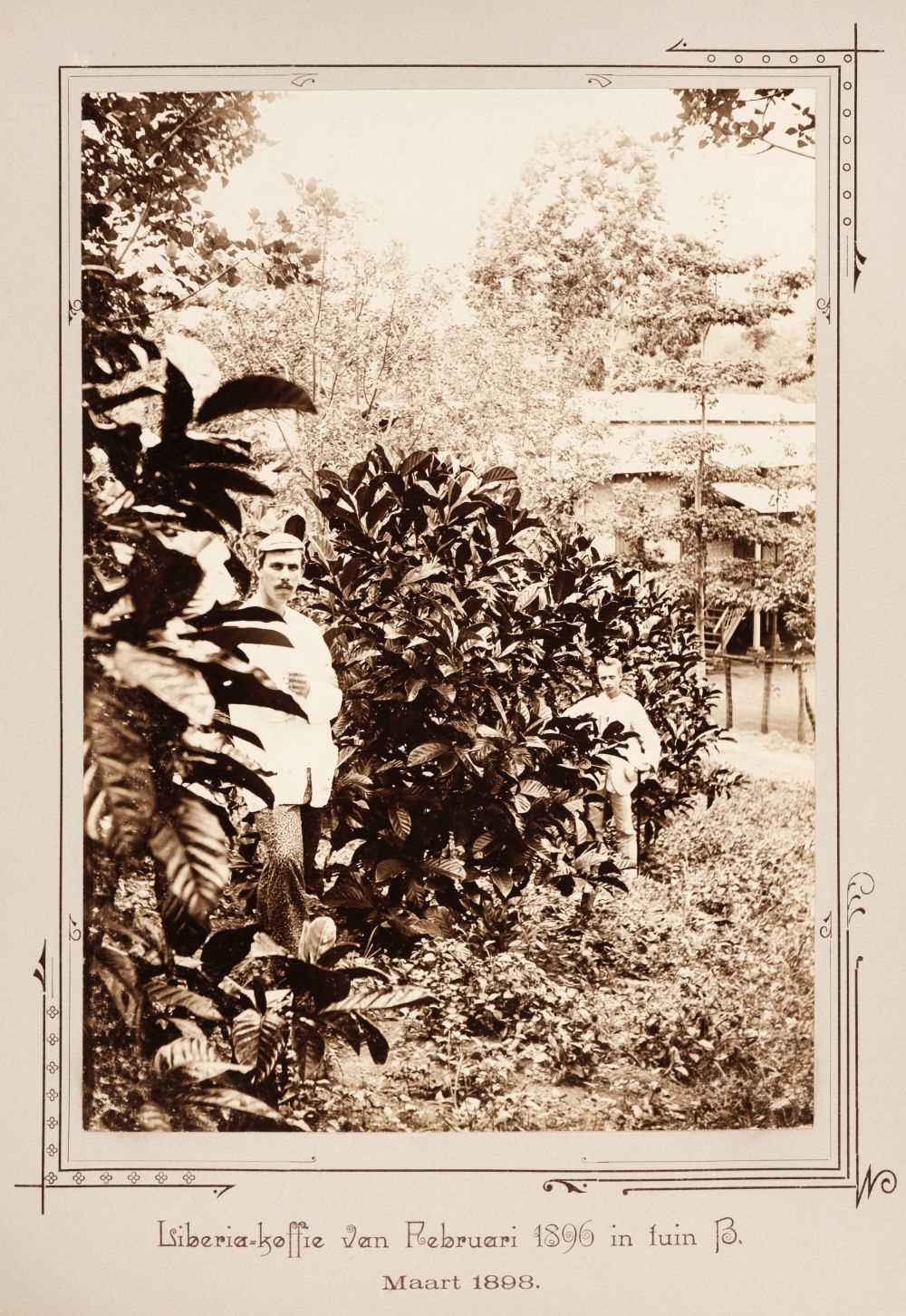 Lot 33 - Muller (S.). Naar en te Way-Lima en Kedongdong. 68 Photo's uit de Lampongs, Rotterdam, [1898]
