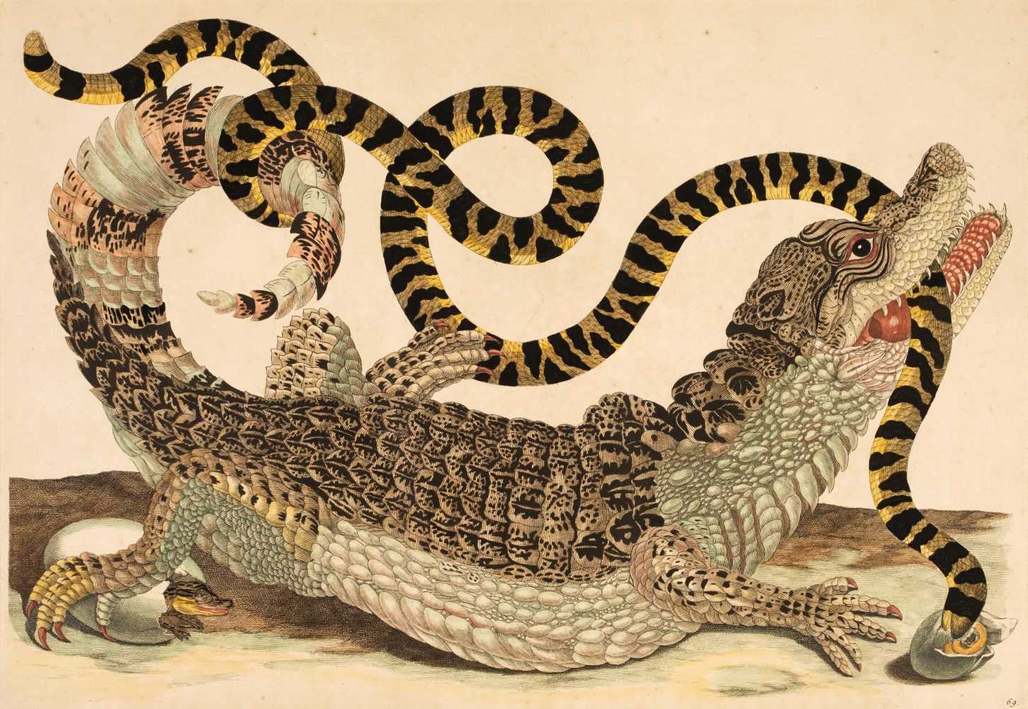 Lot 79 - Merian (Maria Sybilla). Dissertatio de Generatione, 1719
