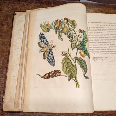 Lot 79 - Merian (Maria Sybilla). Dissertatio de Generatione, 1719