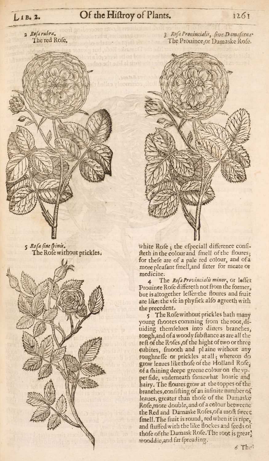 Lot 67 - Gerard (John). The Herball or Generall Historie of Plantes... very much enlarged and amended, 1636