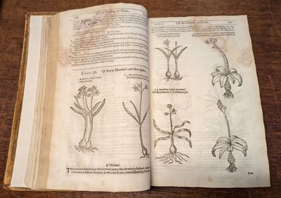 Lot 67 - Gerard (John). The Herball or Generall Historie of Plantes... very much enlarged and amended, 1636