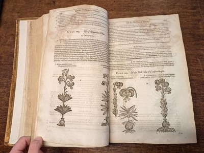Lot 67 - Gerard (John). The Herball or Generall Historie of Plantes... very much enlarged and amended, 1636