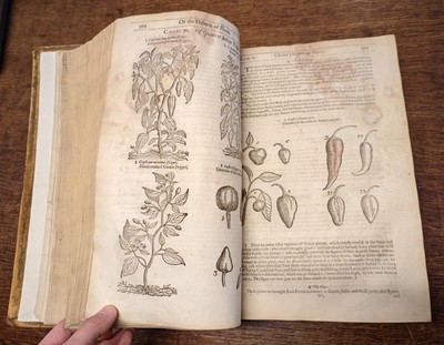 Lot 67 - Gerard (John). The Herball or Generall Historie of Plantes... very much enlarged and amended, 1636