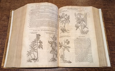 Lot 67 - Gerard (John). The Herball or Generall Historie of Plantes... very much enlarged and amended, 1636