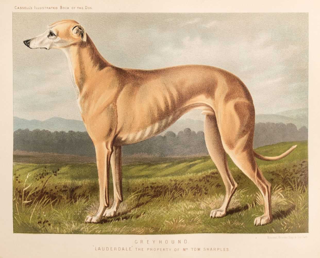 Lot 69 - Shaw (Vero). The Illustrated Book of the Dog, circa 1880
