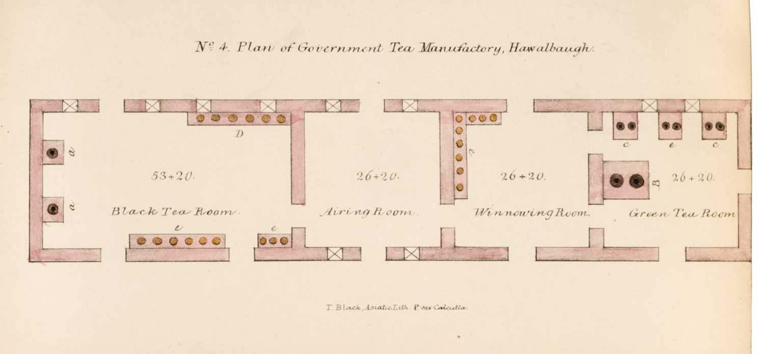 Lot 7 - Indian Tea Reports. Report on the Government Tea Plantations in Kumaon and Gurwahl