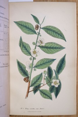 Lot 7 - Indian Tea Reports. Report on the Government Tea Plantations in Kumaon and Gurwahl