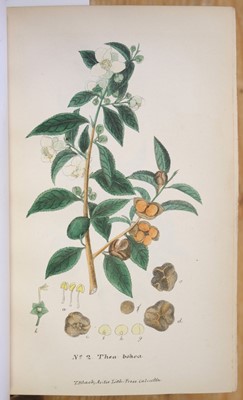Lot 7 - Indian Tea Reports. Report on the Government Tea Plantations in Kumaon and Gurwahl
