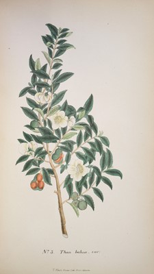 Lot 7 - Indian Tea Reports. Report on the Government Tea Plantations in Kumaon and Gurwahl