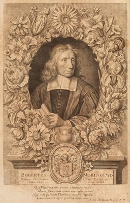 Lot 30 - Morison (Robert). Plantarum Historiae Universalis Oxoniensis, 1680-99
