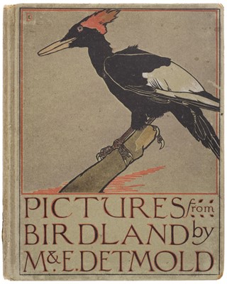 Lot 541 - Detmold (Maurice and Edward). Pictures from Birdland, 1899