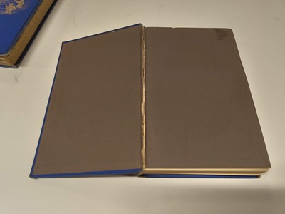 Lot 15 - De Cosson (Emilius Albert). The Cradle of the Blue Nile, 2 volumes, 1st edition, 1877