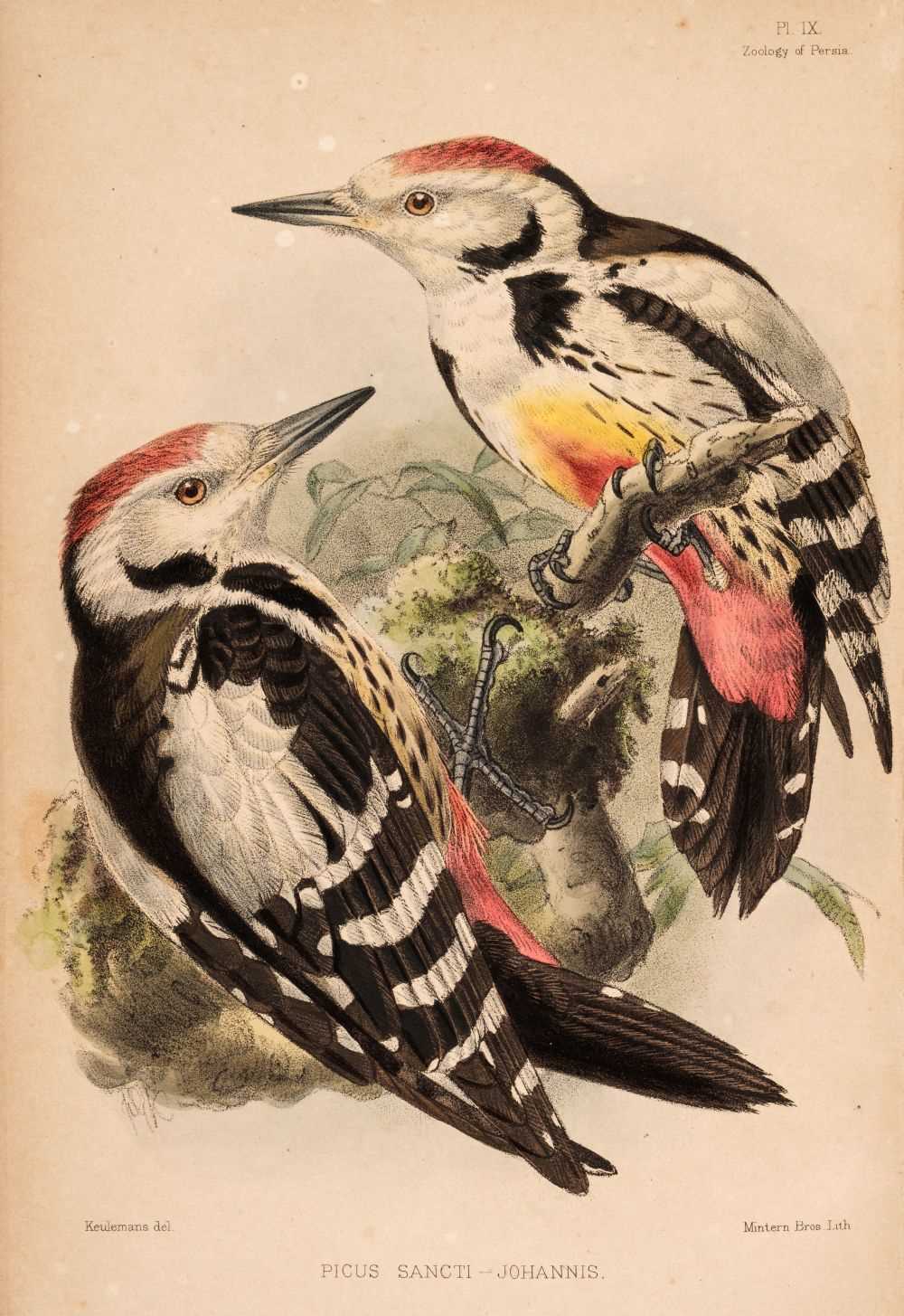 Lot 20 - Goldsmid (John Frederic & others). Eastern Persia, 2 volumes, 1st edition, 1876