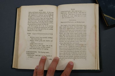 Lot 109 - Montagu (George). Ornithological Dictionary, 3 volumes including supplement, 1802-1813