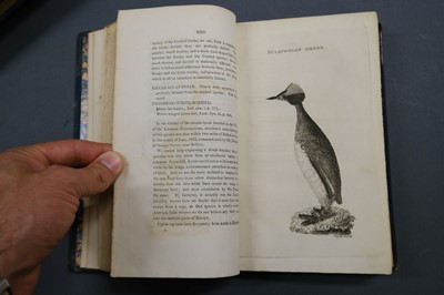 Lot 109 - Montagu (George). Ornithological Dictionary, 3 volumes including supplement, 1802-1813