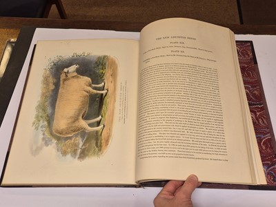 Lot 57 - Low (David). The Breeds of the Domestic Animals of the British Islands, 1842