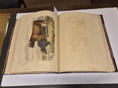 Lot 57 - Low (David). The Breeds of the Domestic Animals of the British Islands, 1842