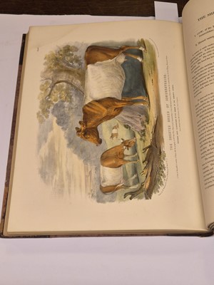 Lot 57 - Low (David). The Breeds of the Domestic Animals of the British Islands, 1842