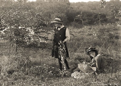 Lot 113 - Topographical Glass Plate Negatives. A fine collection of approx. 2,000 half-plate negatives