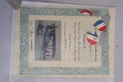 Lot 204 - Woollett (Tony). A model of a Nieuport 17