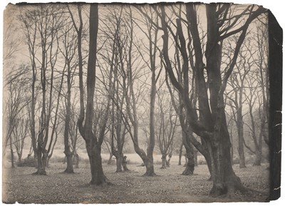 Lot 45 - Thiollier (Félix, 1842-1914, attributed to). Trees in winter, c. 1890