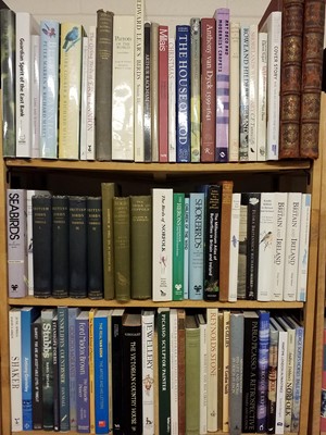 Lot 492 - Natural History. A large collection of late 19th and 20th century natural history and art reference.