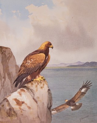 Lot 133 - Harrison (J. C.). The Birds of Prey of the British Islands, Kingston Deverill: Fine Bird Books, 1980