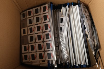 Lot 150 - Ornithological Colour Slides. A collection of approx. 3,000 slides by Michael Gore (1935-2022)