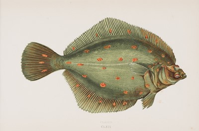 Lot 97 - Fish. Couch (Jonathan). A collection of approximately 80 prints, 1862-65