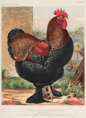 Lot 165 - Wright (Lewis). The Illustrated Book of Poultry, London: Cassell, Petter & Galpin, 1880