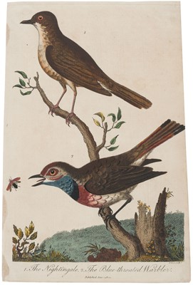 Lot 113 - Prints, engravings and watercolours. A collection of approximately 450 prints, mostly 19th-century