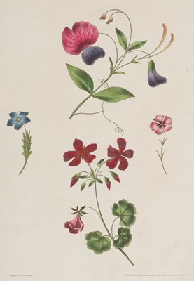 Lot 292 - Brookshaw (George). A New Treatise on Flower Painting, 1812