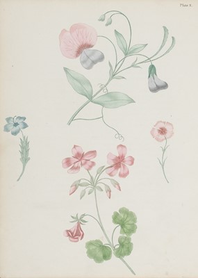 Lot 293 - Brookshaw (George). A New Treatise on Flower Painting, 1st edition, 1799