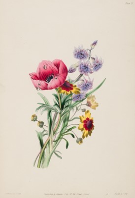 Lot 285 - Andrews (James). Lessons in Flower Painting. A Series of Easy and Progressive Studies, [circa 1835]