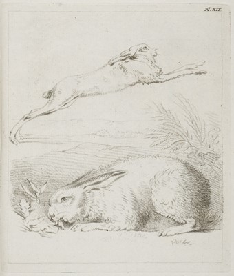 Lot 342 - Numan (Hermanus). De beoefening der Teekenkunde, 1812