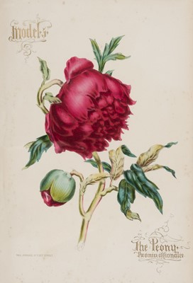Lot 329 - Jerrard (Paul). Flower Painting in Twelve Progressive Lessons, 1st edition, [1852]