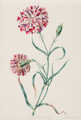 Lot 287 - Andrews (James). The Art of Flower Painting, in Easy Lessons, [1842]