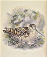 Lot 103 - Seebohm, Henry