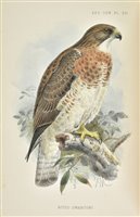 Lot 100 - Sclater, Philip Lutley, & William Henry Hudson