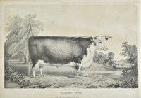 Lot 129 - Gauci, A. M. lithographer