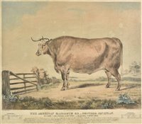 Lot 125 - Fairland, Thomas