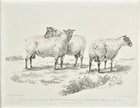 Lot 133 - Landseer, Thomas