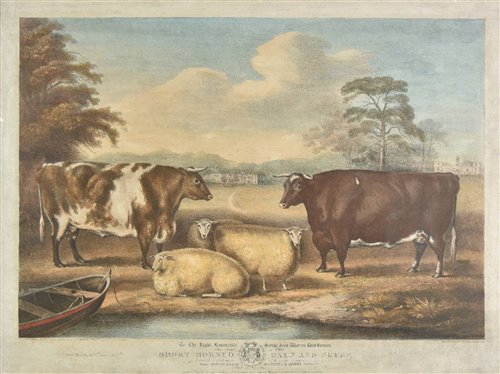 Lot 124 - Davis, William Henry