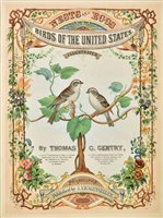 Lot 66 - Gentry, Thomas G.
