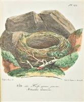 Lot 97 - Roux, Jean Louis Florent Polydore